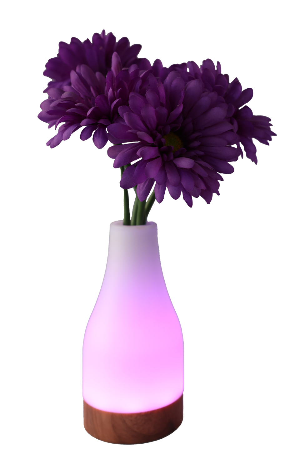 ECL-5400 with flowers